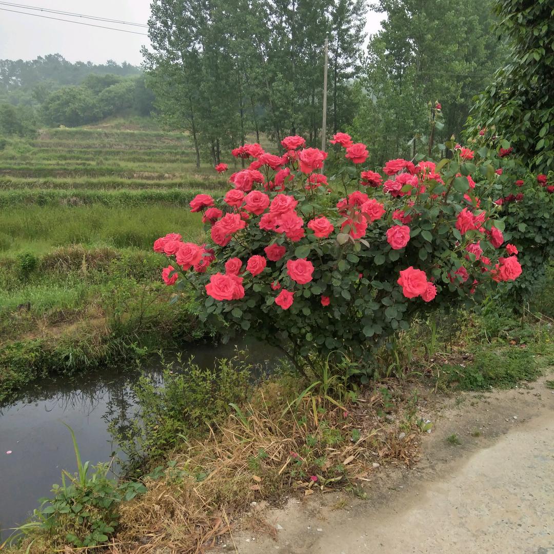 响水潭