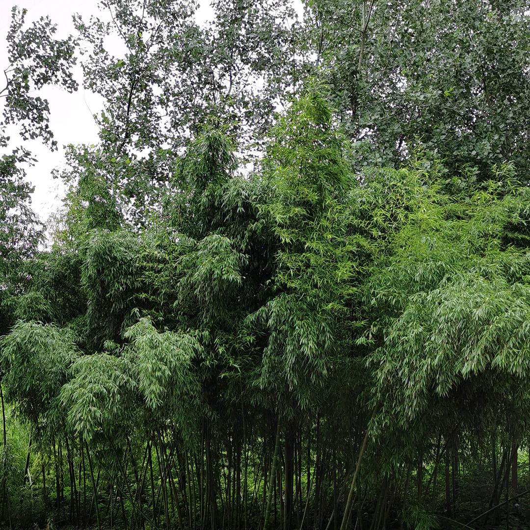 寻找幸福的味道，寻找快乐的真谛。