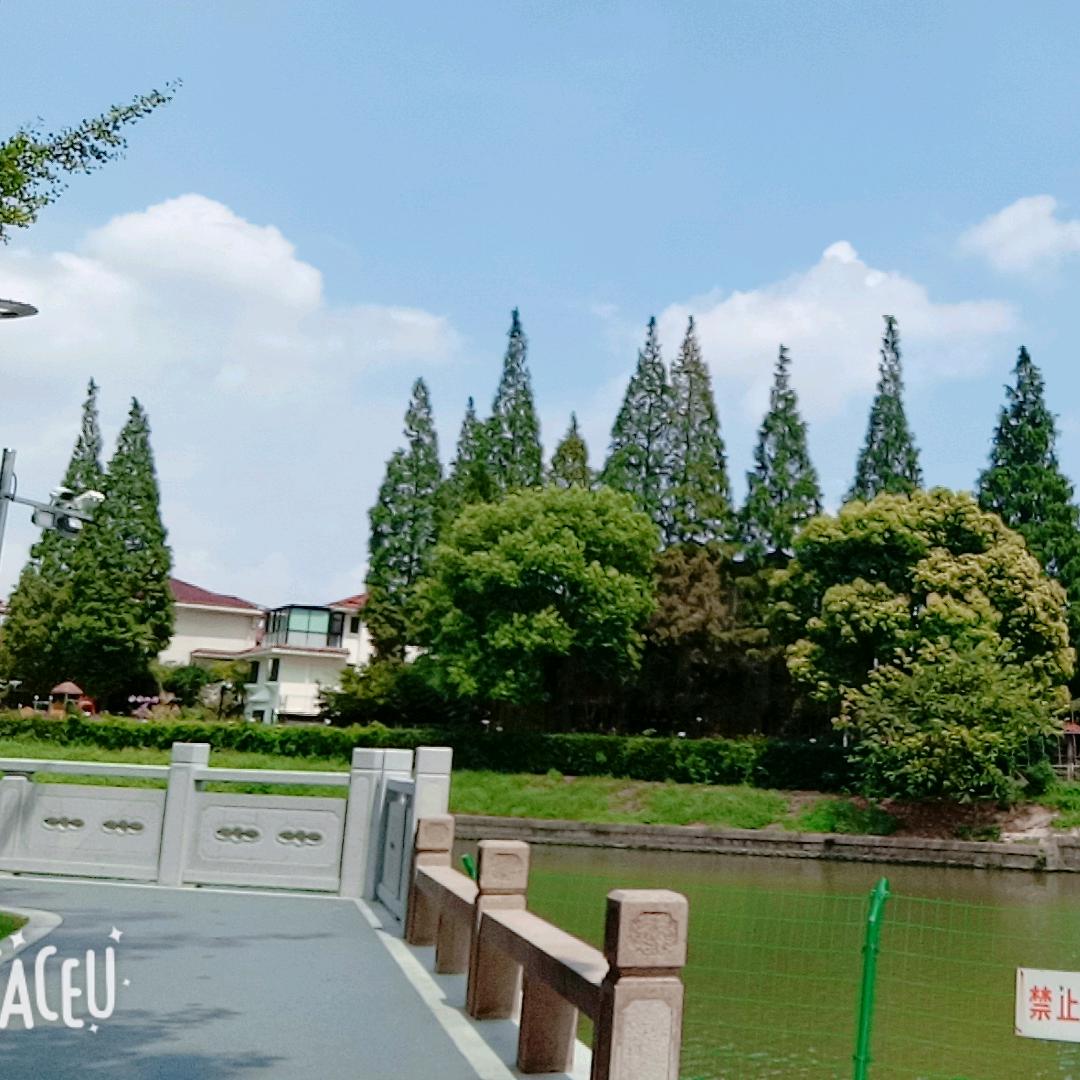 🥀এ᭄累了ꦿ谁💔疼ོ࿐ᩚ