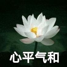 心平气和✨✨