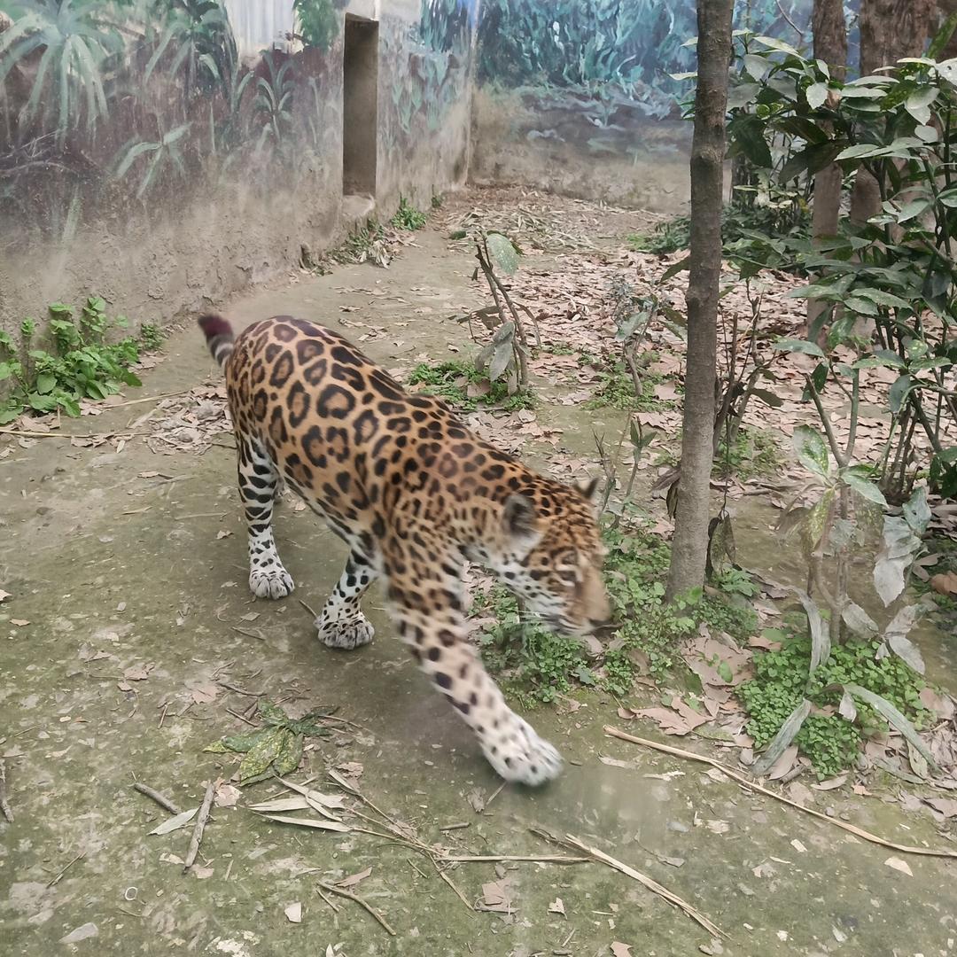 🌈情有独钟🌈