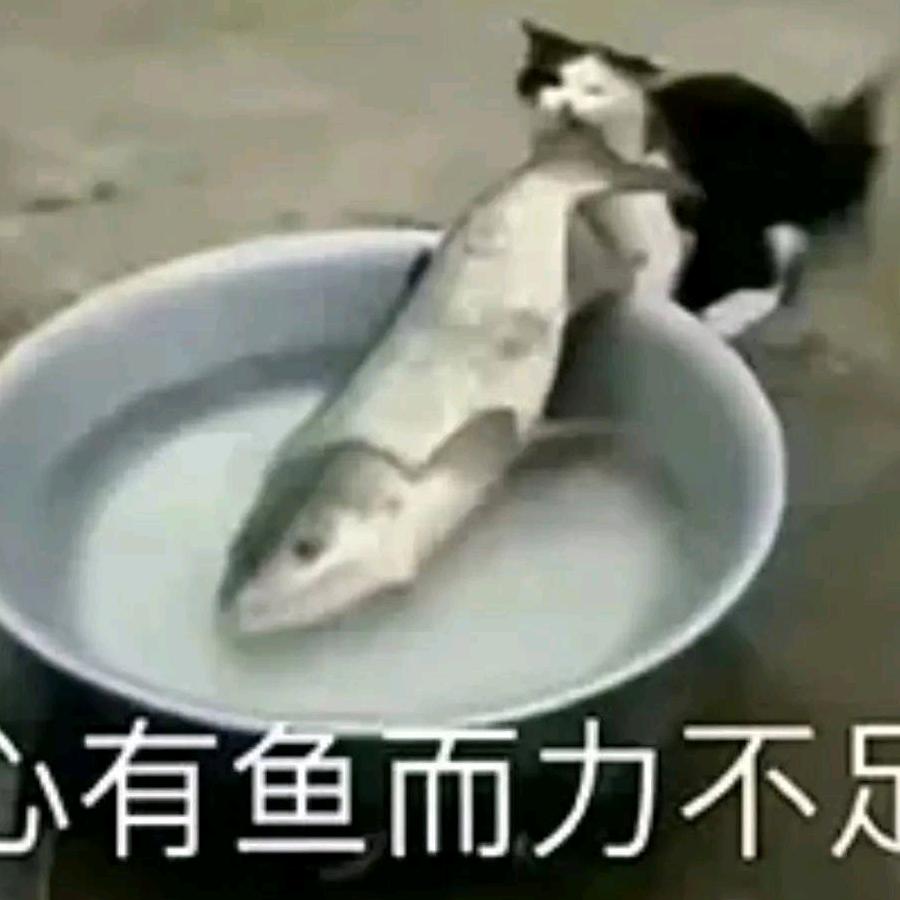 蛤蟆仙人
