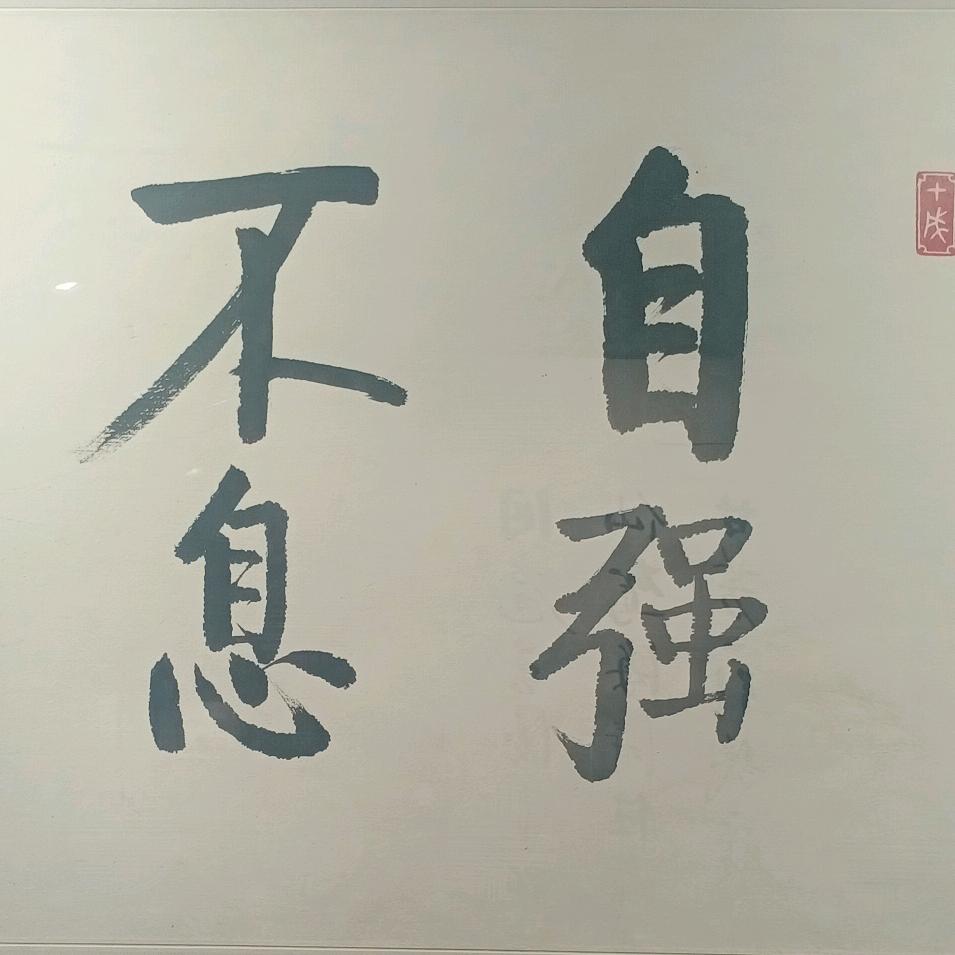 紫色的梦