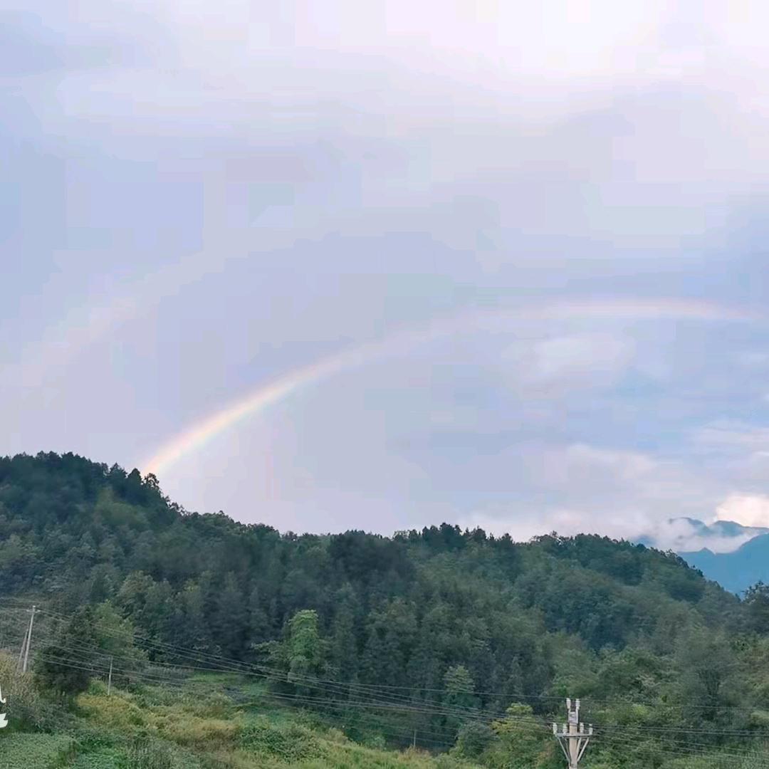 星🐉印