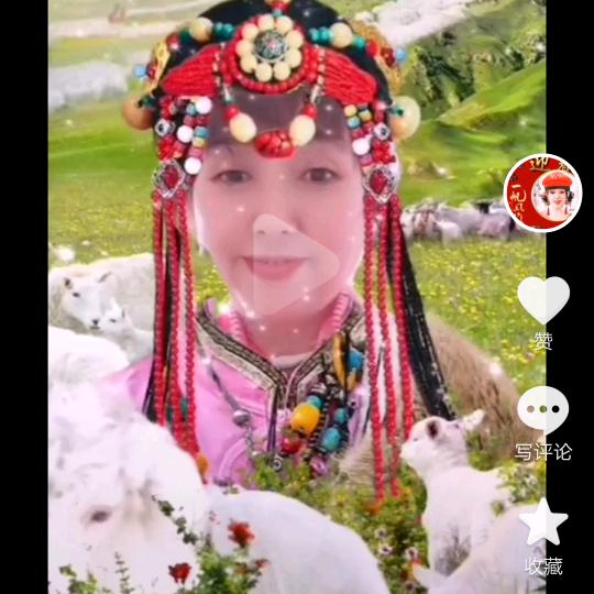 思睿和安睿奶奶👵