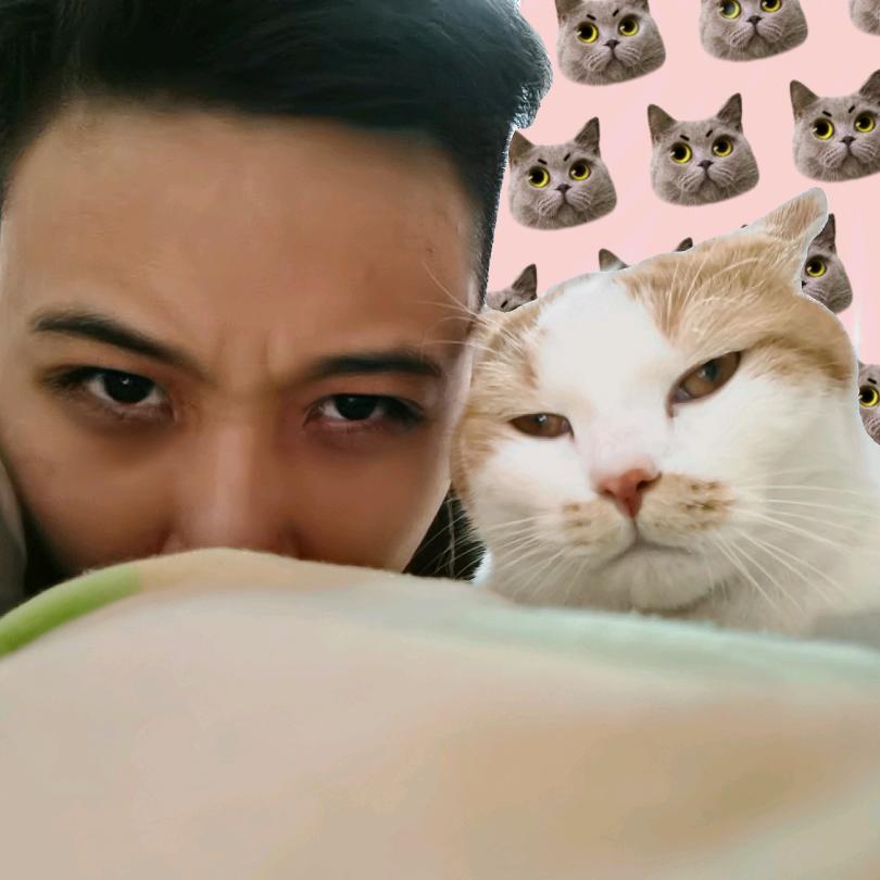 正宗大肥猪zzj