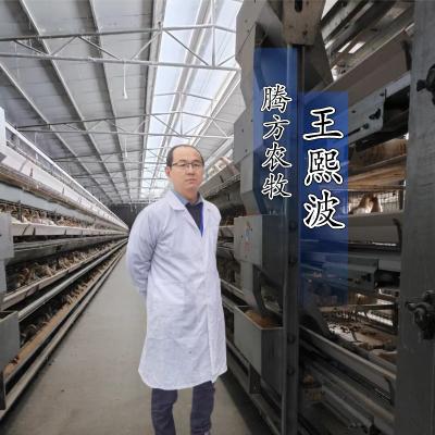 腾方农牧俊弘兄