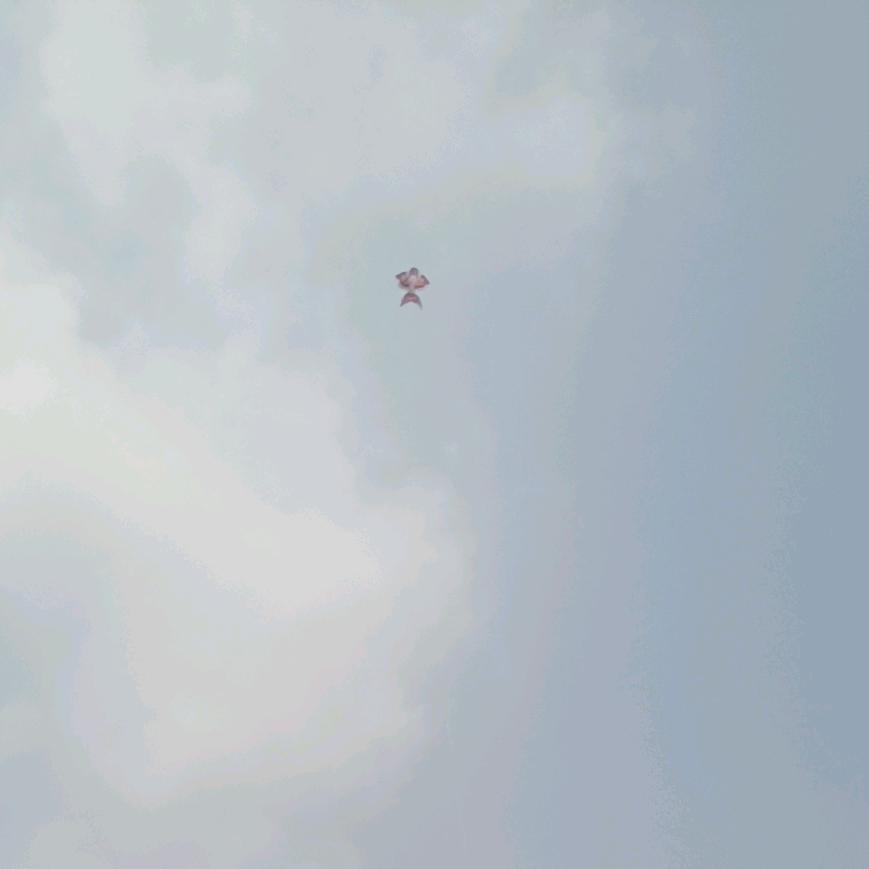 藿香正气