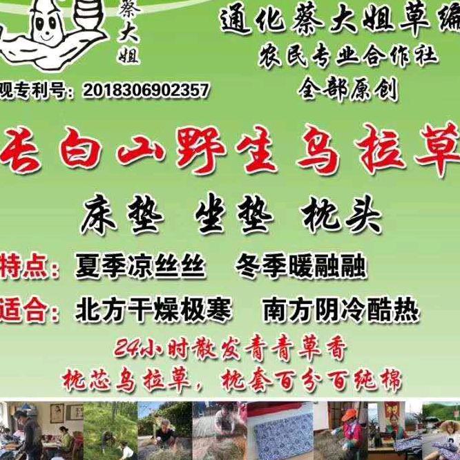 乌拉草部落
