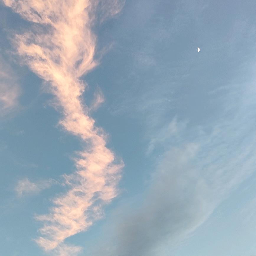 曲曲╭( ′• o •′ )╭