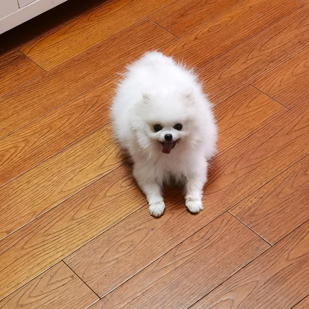 正正宽宽瘦瘦与圆圆