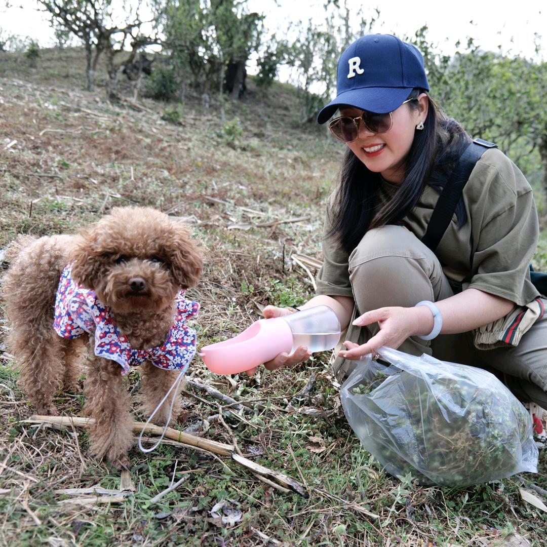 金官艾美美业💗