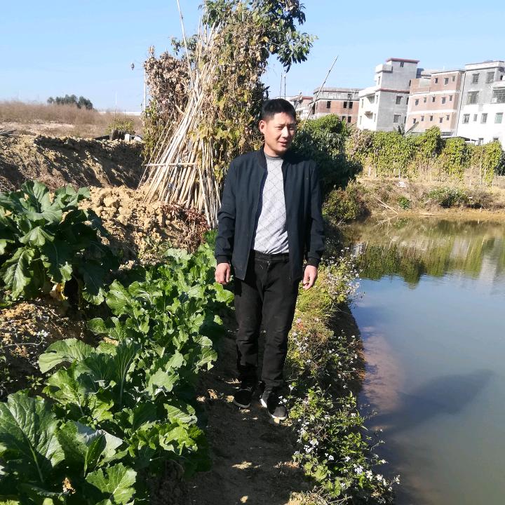 闵伟