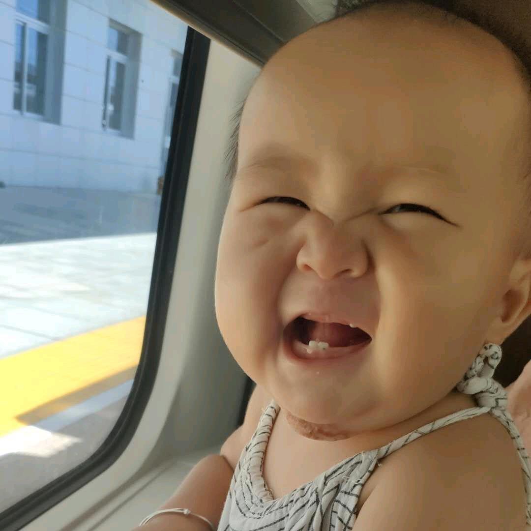 快乐的胖肉墩儿