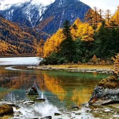 🌷莲花湖欢迎你🌹🌹😛😛