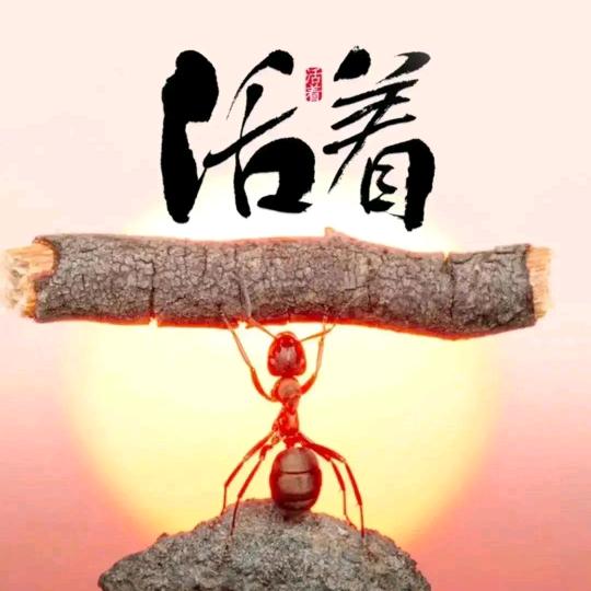 志诚💞志恒呀💕