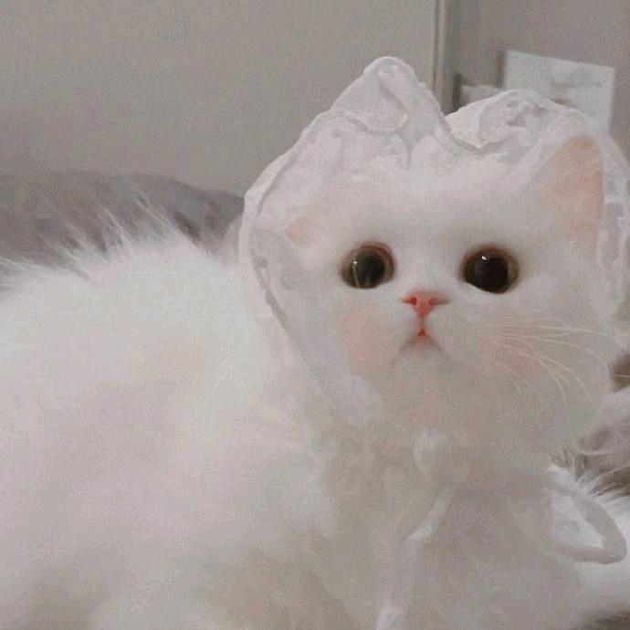星期一