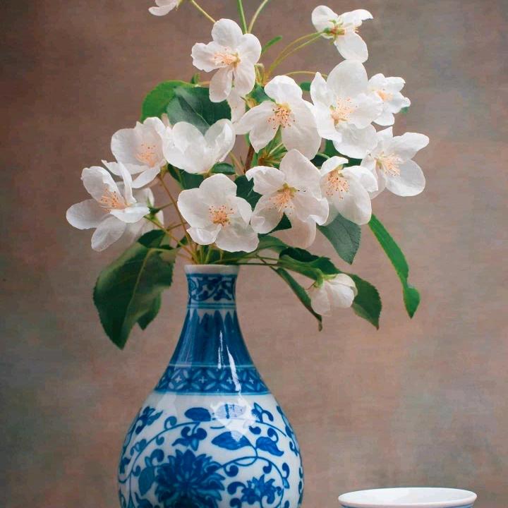 桂花飘香