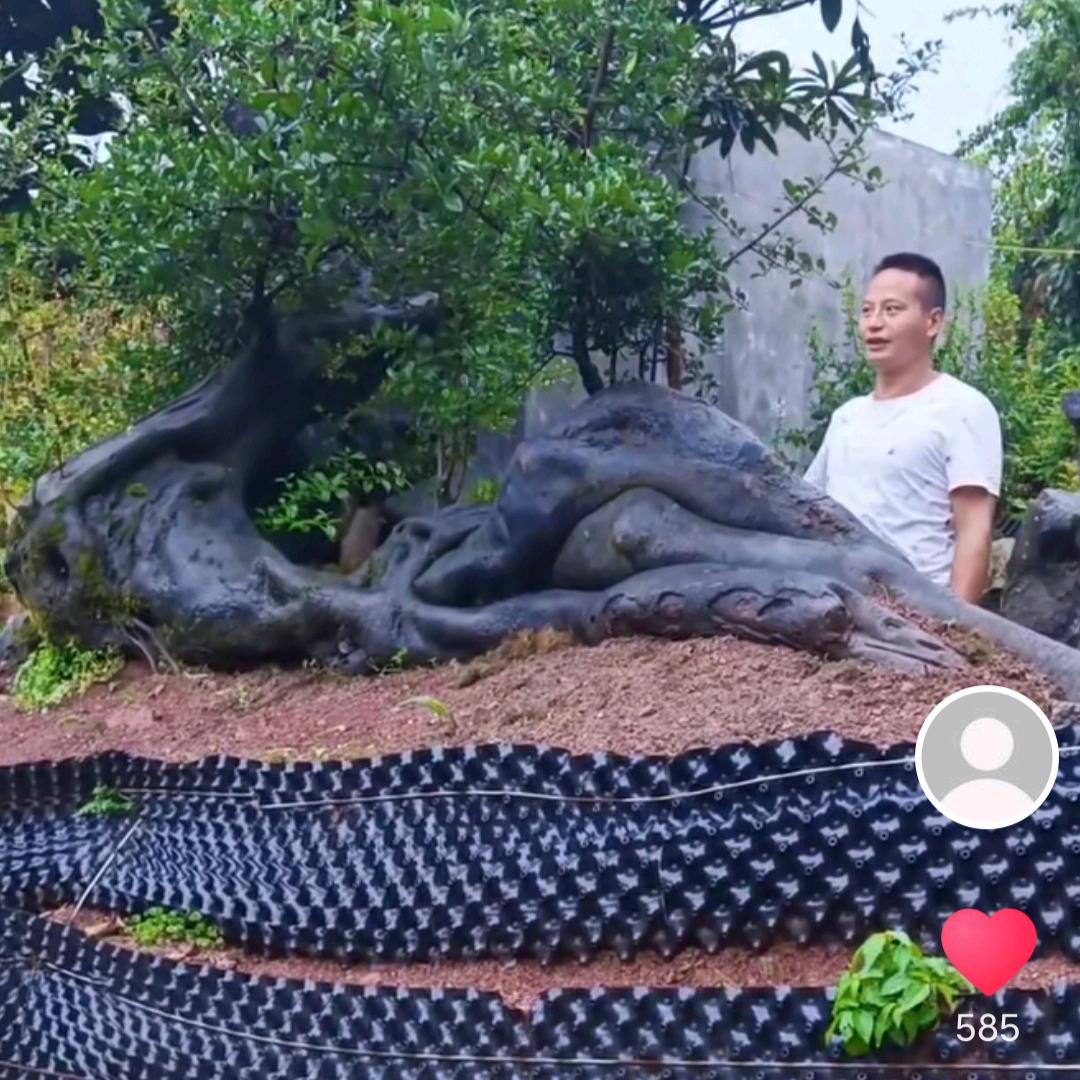 弹资源,园艺