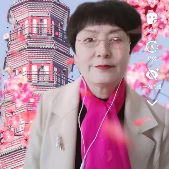 兰花草爱百合