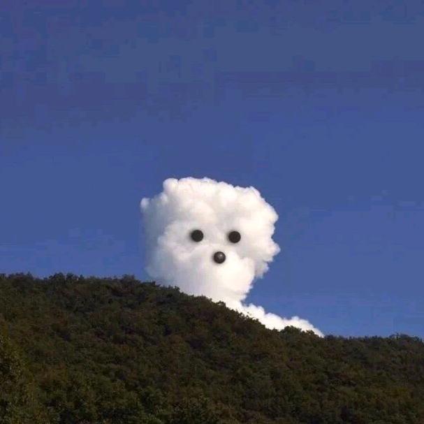 画