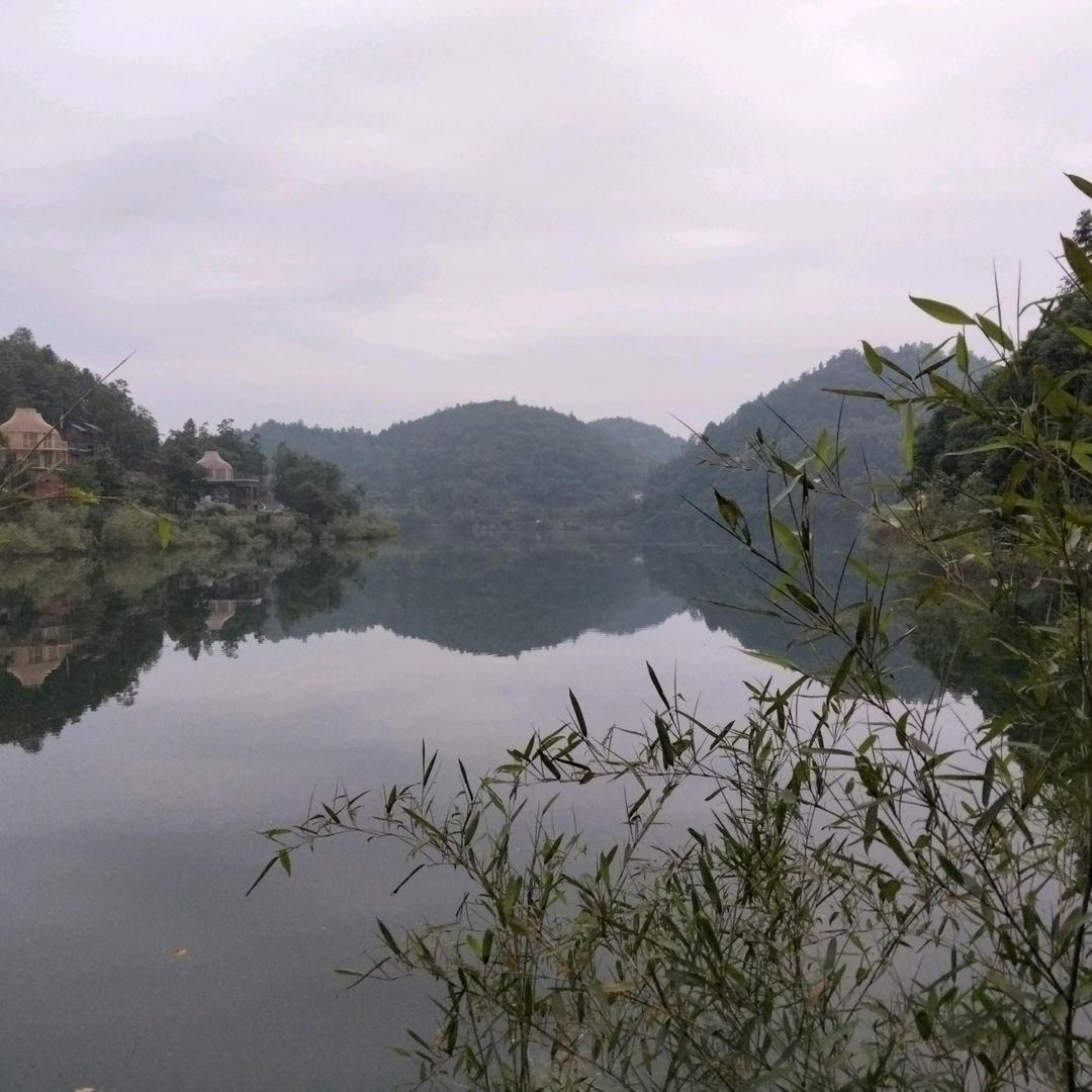湘西之子
