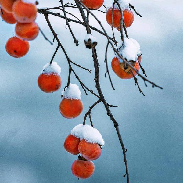 随🌹心❤