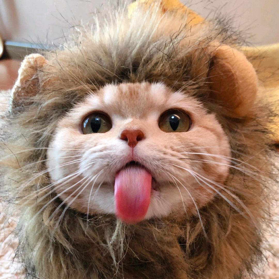 越小越💫