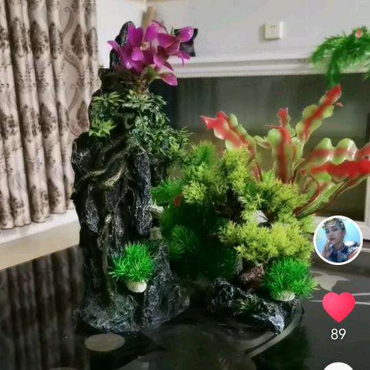 古月蝶
