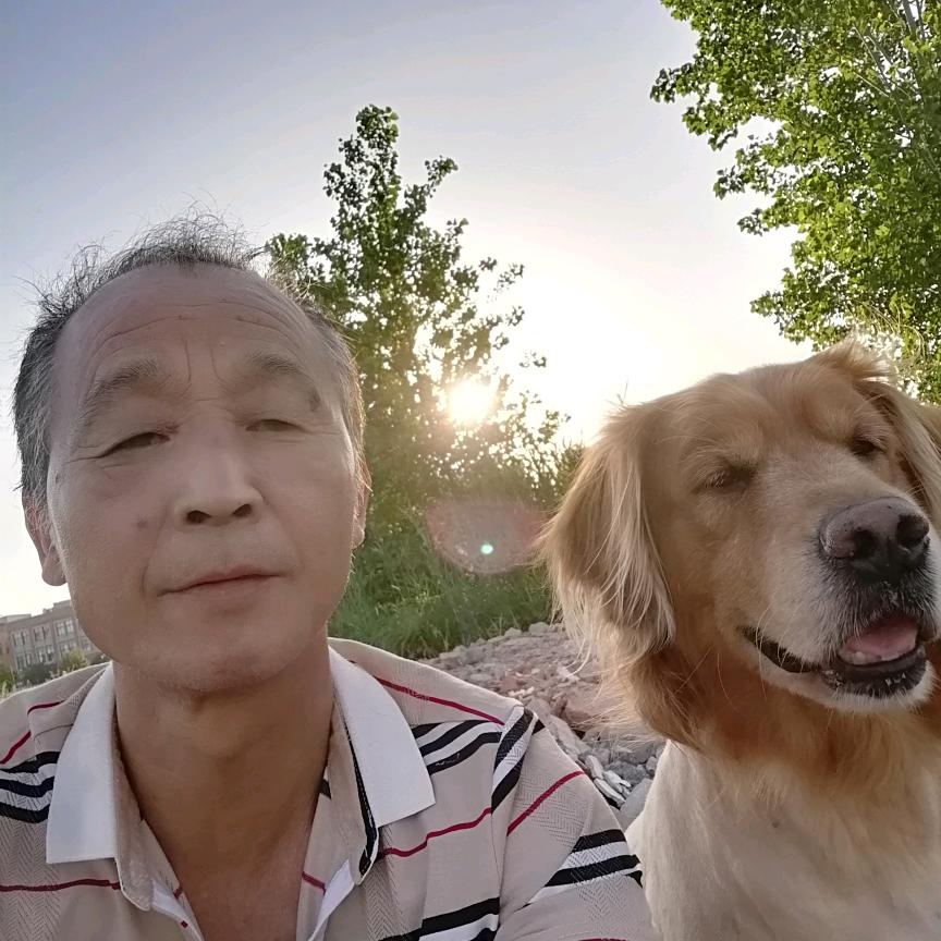 崔老头和狗