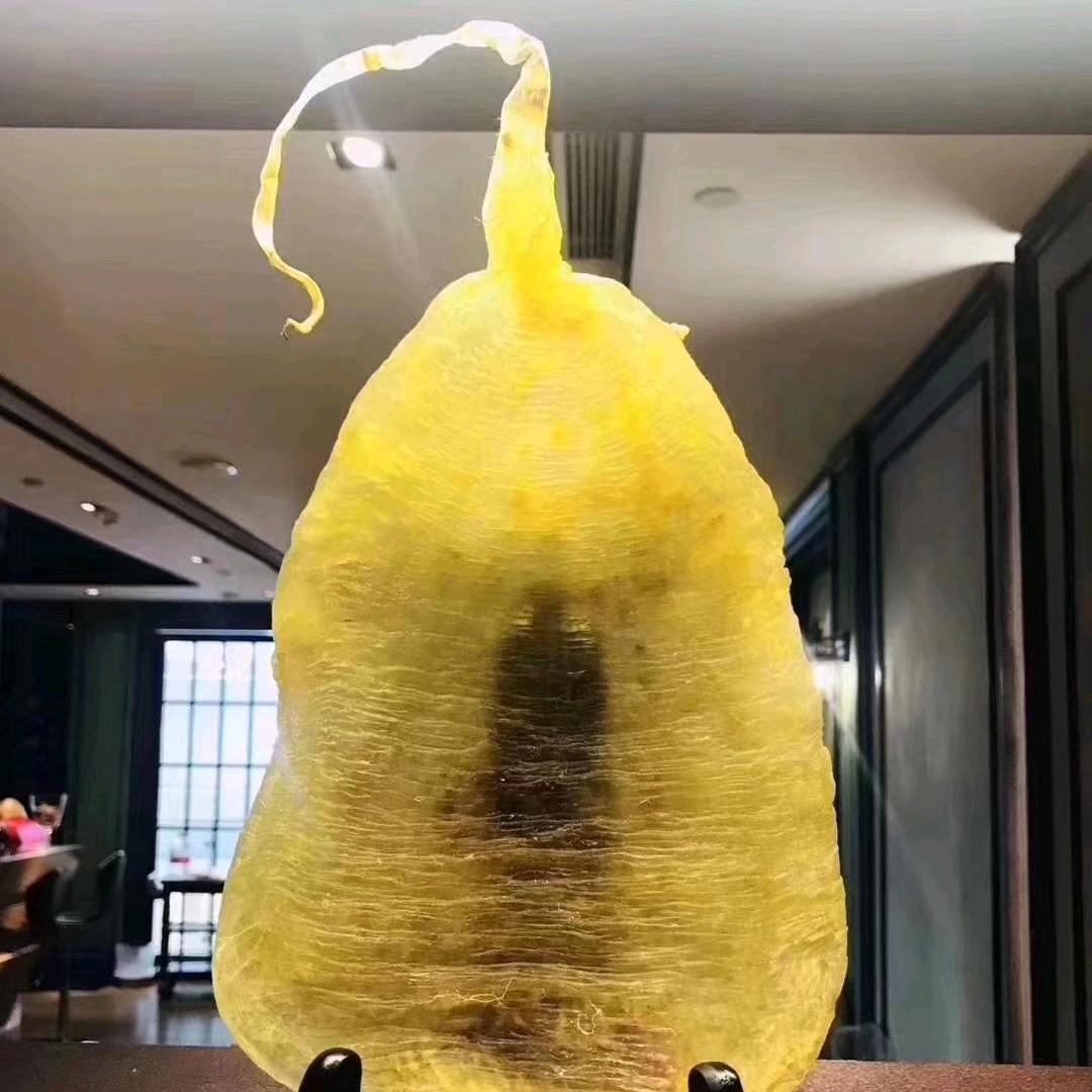 花胶王府-杨开航