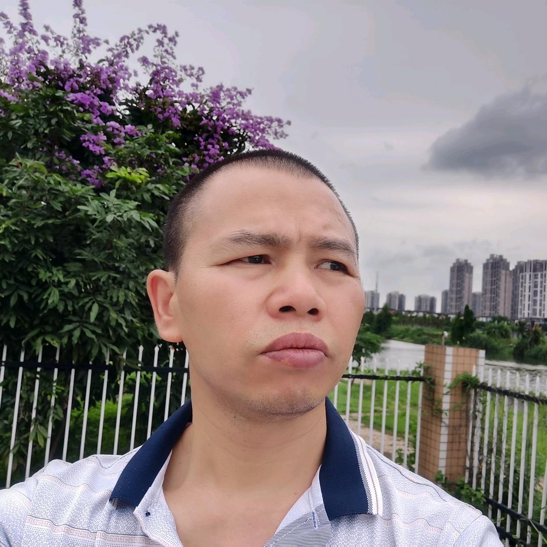 奇哥