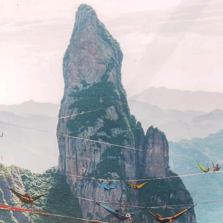 此生无悔