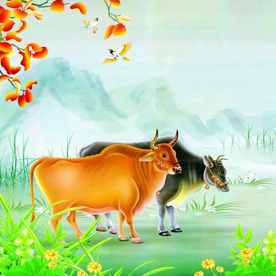 点亮经典