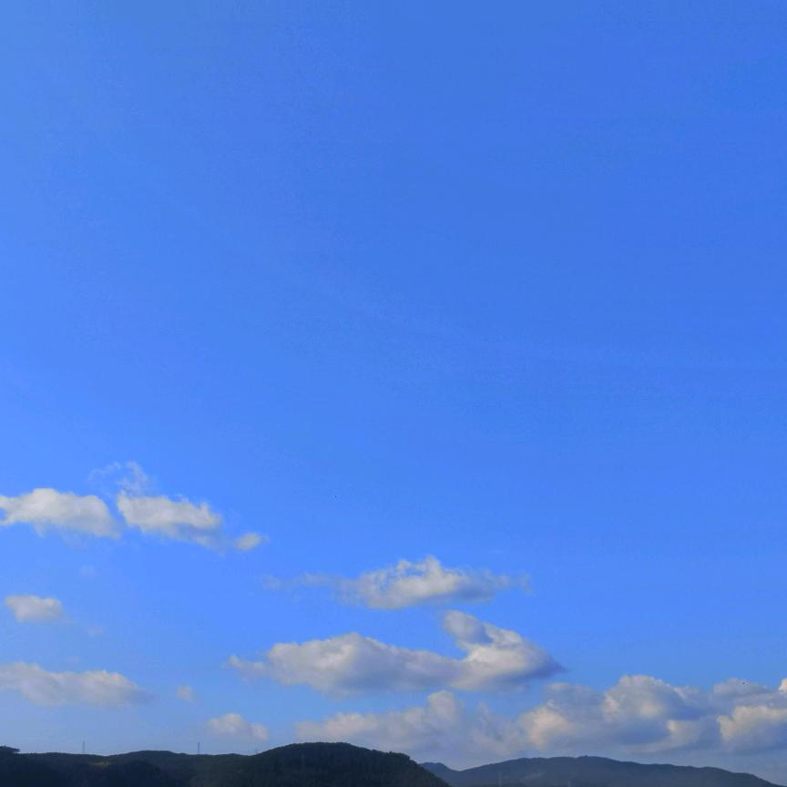 夏氏家族