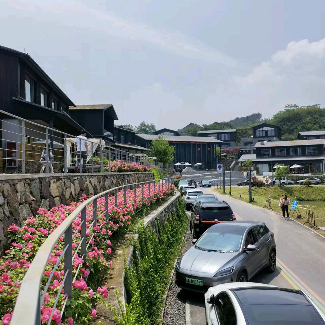 子洛