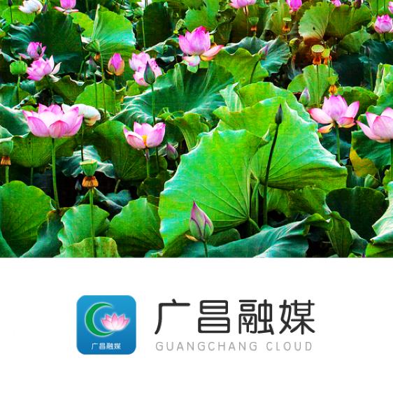 广昌融媒