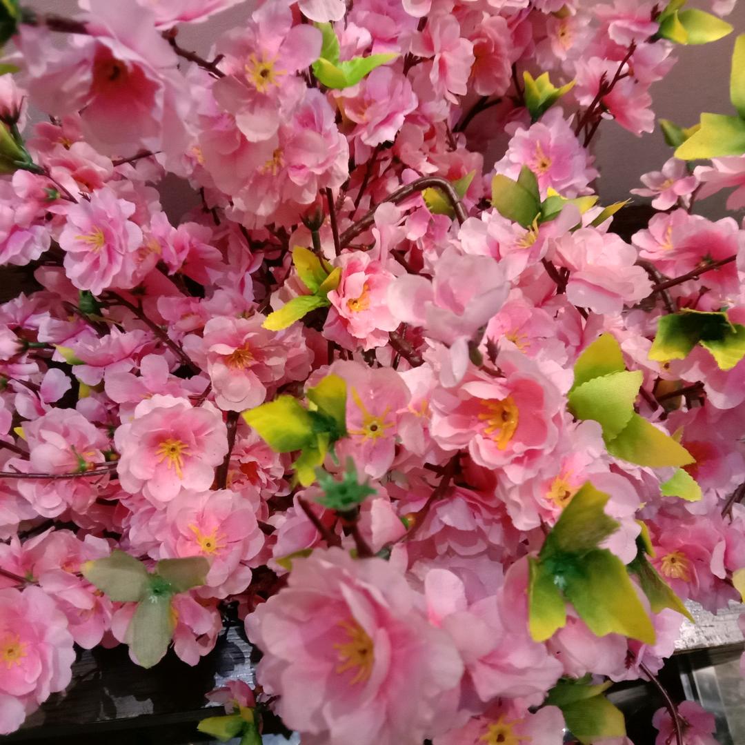 梅兰竹菊