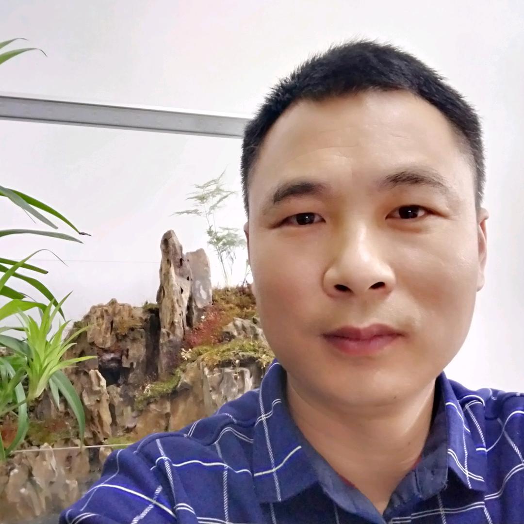 王登伏（练字）