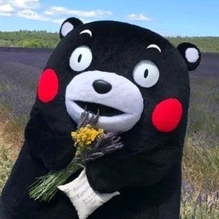 🌈梦三国—小鲤鱼