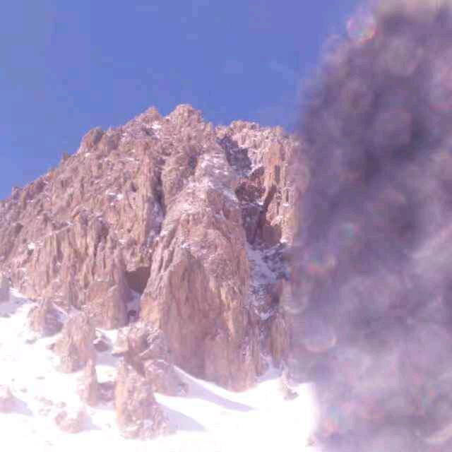 雪狼