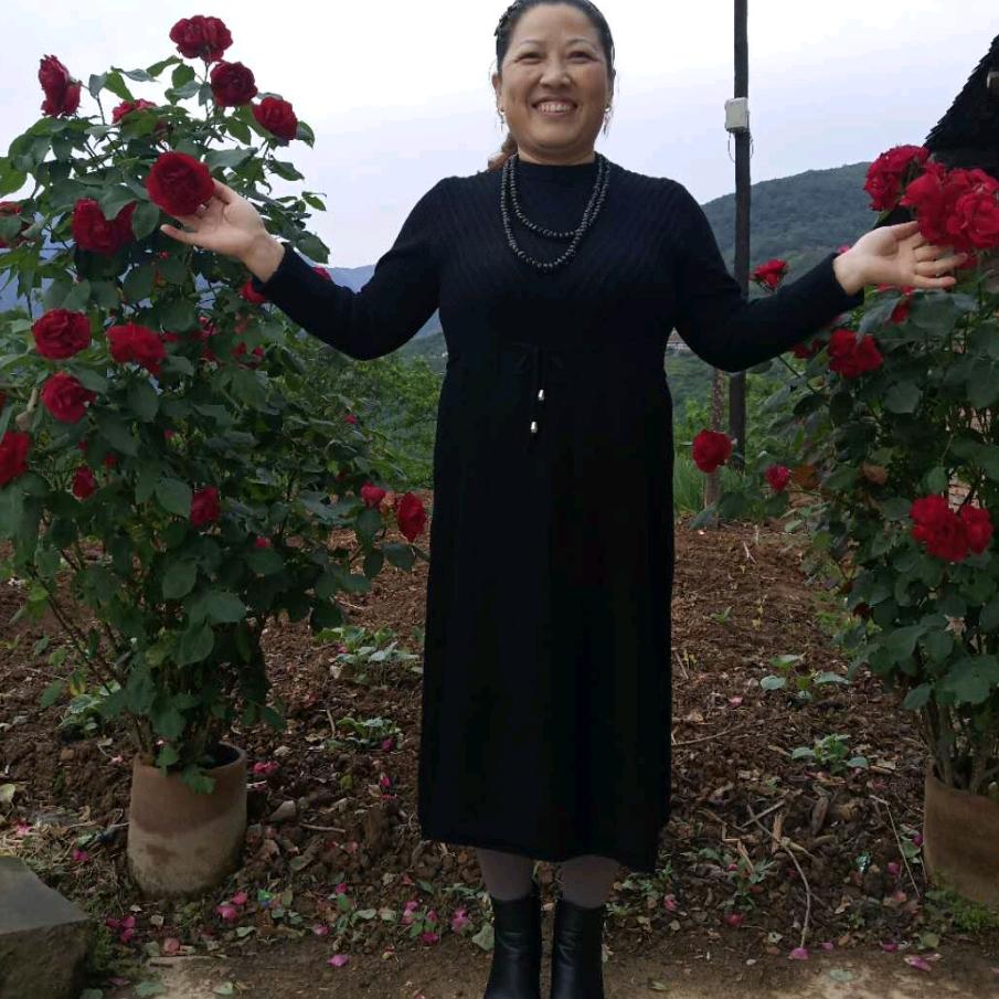 快乐的人屈氏族