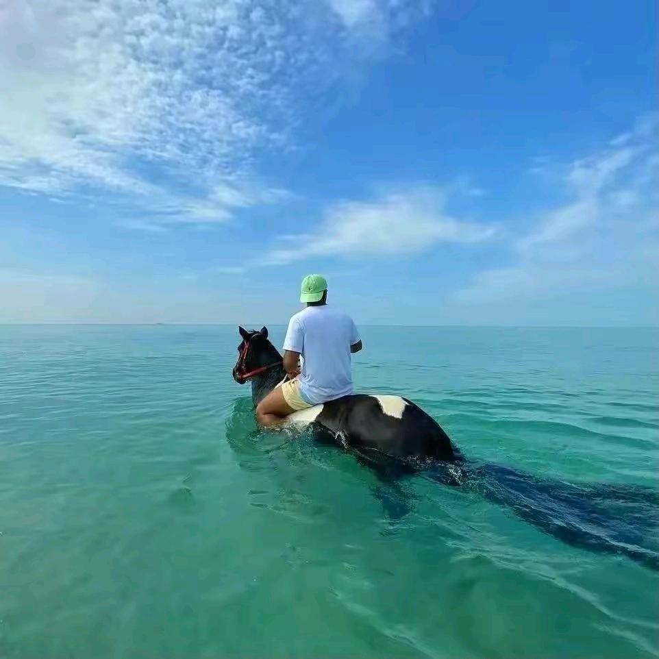 后街老张