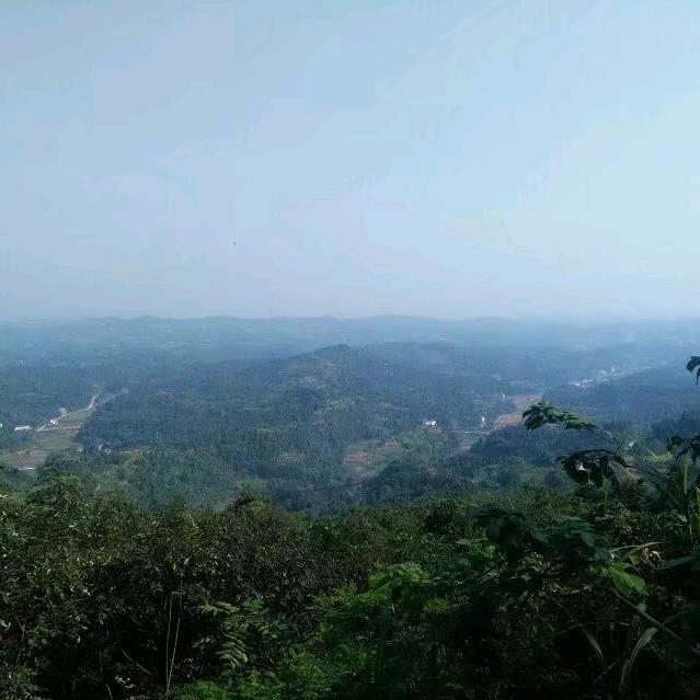毒药 、