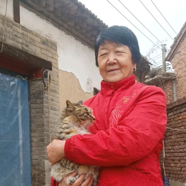快乐奶奶
