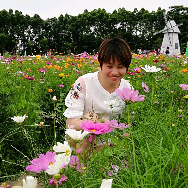 秋菊
