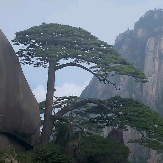 龍( ͡σ̴̶̷̤. ͡σ̴̶̷̤)哥