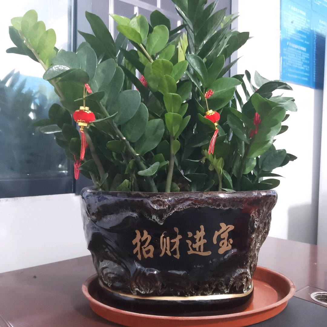 快活