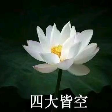 哈哈哈_