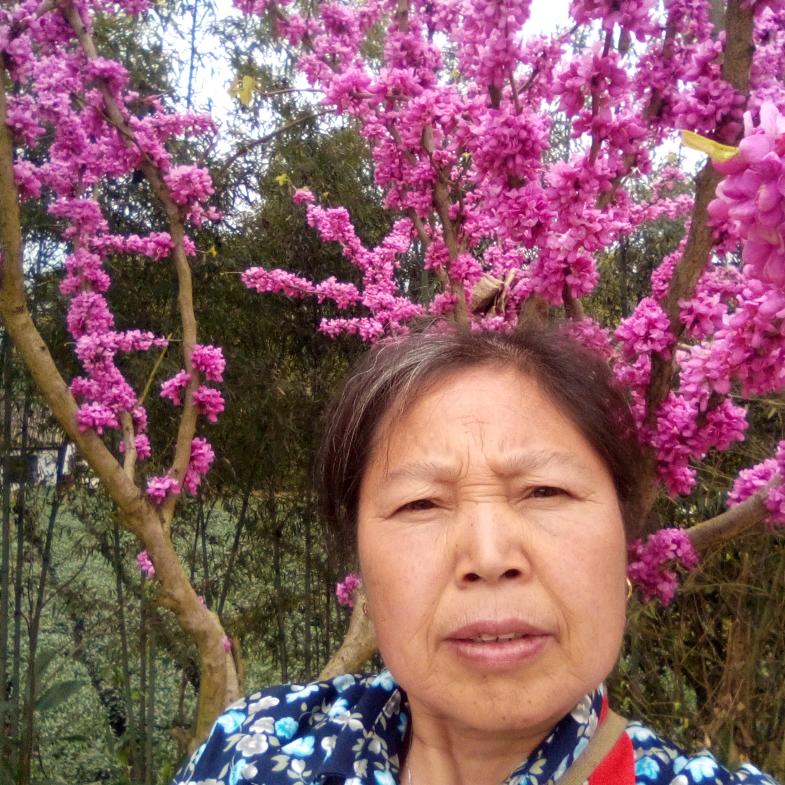 老李姐